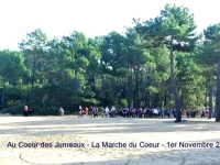 Marche du coeur bis (7)