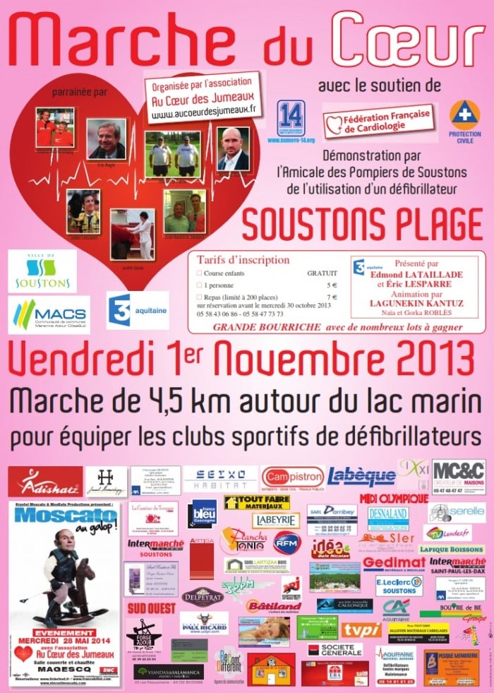 affiche_2013